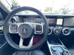 Tank 300 2021 Off-Road Edition 2.0T Conqueror - ფოტო 10