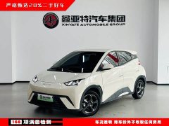 BYD Seagull Freedom Edition - ფოტო 1
