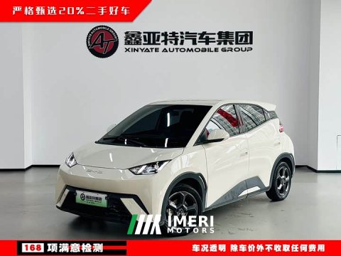 2023 BYD Seagull Freedom Edition - ავტომობილი ჩინეთიდან