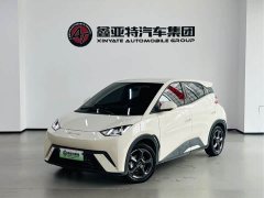 BYD Seagull Freedom Edition - ფოტო 2