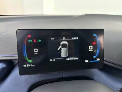 BYD Seagull Freedom Edition - ფოტო 9