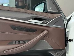 BMW 5 Series Facelift 530Li Luxury M Sport Package - ფოტო 15
