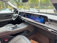 BMW Ford Edge L 2.0T EcoBoost E Hybrid AWD Seven-Seat Premium - ფოტო 20