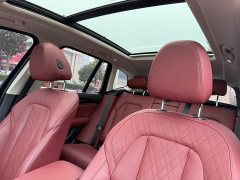 BMW X3 xDrive25i M Sport Package - ფოტო 15