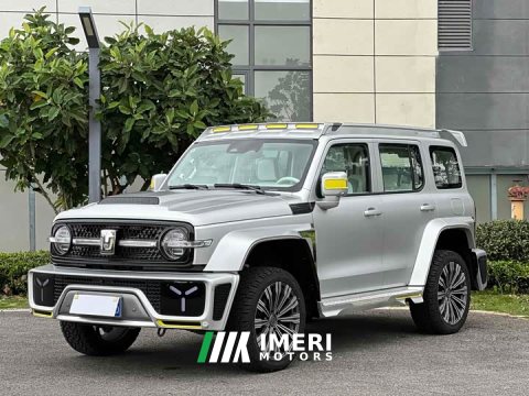 2022 Tank Co-Create Tank 300 2021 2.0T Cyber Tank - ავტომობილი ჩინეთიდან