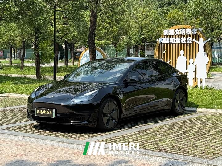 Tesla Model 3 Standard Range RWD Upgrade - ავტომობილი ჩინეთიდან