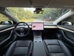Tesla Model 3 Standard Range RWD Upgrade - ფოტო 12