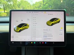 Tesla Model 3 Standard Range RWD Upgrade - ფოტო 14