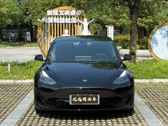 Tesla Model 3 Standard Range RWD Upgrade - ფოტო 2
