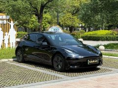 Tesla Model 3 Standard Range RWD Upgrade - ფოტო 3