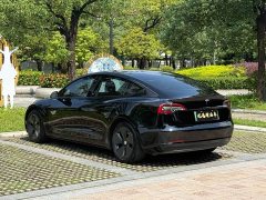 Tesla Model 3 Standard Range RWD Upgrade - ფოტო 7