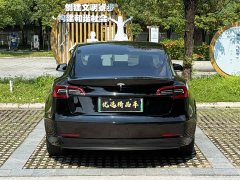 Tesla Model 3 Standard Range RWD Upgrade - ფოტო 8