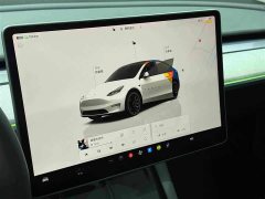 Tesla Model Y Rear-Wheel Drive - ფოტო 13