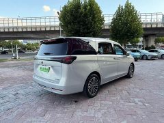 Buick GL8 New Energy Lusang Respect Edition - ფოტო 7