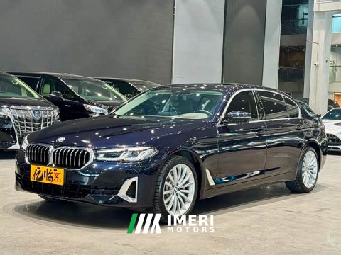 2021 BMW 5 Series 530Li Luxury Edition Premium Package - ავტომობილი ჩინეთიდან