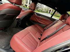 BMW 5 Series 530Li Premier M Sport Package - ფოტო 5