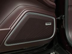 Porsche Panamera Executive Extended Wheelbase 2.9T - ფოტო 12
