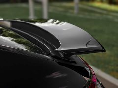 Porsche Panamera Executive Extended Wheelbase 2.9T - ფოტო 9