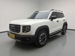 Great Wall Dachshund 2021 2.0T DCT Four-Wheel Drive Chinese Rural Dog Edition - ფოტო 1
