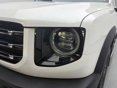 Great Wall Dachshund 2021 2.0T DCT Four-Wheel Drive Chinese Rural Dog Edition - ფოტო 10