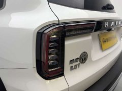 Great Wall Dachshund 2021 2.0T DCT Four-Wheel Drive Chinese Rural Dog Edition - ფოტო 11