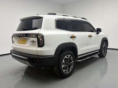 Great Wall Dachshund 2021 2.0T DCT Four-Wheel Drive Chinese Rural Dog Edition - ფოტო 4