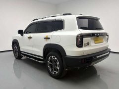Great Wall Dachshund 2021 2.0T DCT Four-Wheel Drive Chinese Rural Dog Edition - ფოტო 6