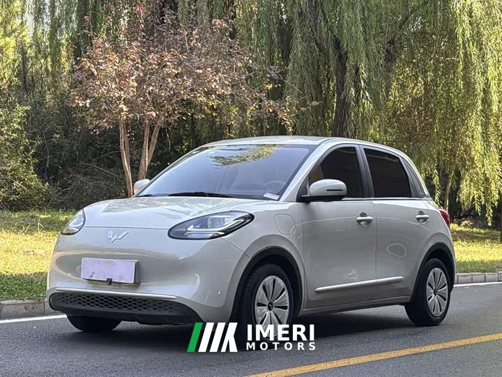 Wuling Binguo 2023 333km Joy Edition - ავტომობილი ჩინეთიდან