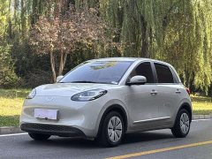 Wuling Binguo 2023 333km Joy Edition - ფოტო 1