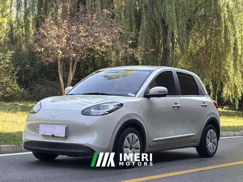 2024 Wuling Binguo 2023 333km Joy Edition - ავტომობილი ჩინეთიდან