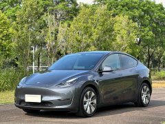 Tesla Model Y Long Range All-Wheel Drive - ფოტო 1