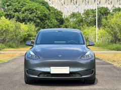 Tesla Model Y Long Range All-Wheel Drive - ფოტო 2