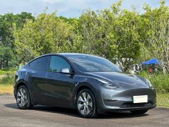 Tesla Model Y Long Range All-Wheel Drive - ფოტო 3