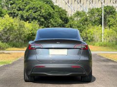Tesla Model Y Long Range All-Wheel Drive - ფოტო 7