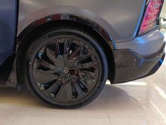 HiPhi X Performance 6-Seater - ფოტო 10