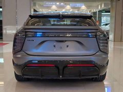HiPhi X Performance 6-Seater - ფოტო 7