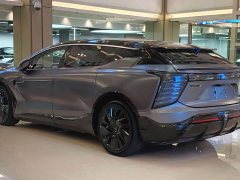 HiPhi X Performance 6-Seater - ფოტო 8