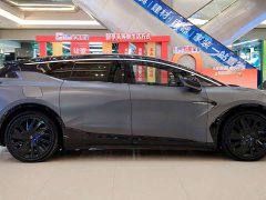 HiPhi X Performance 6-Seater - ფოტო 9