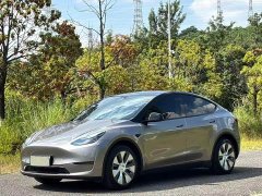 Tesla Model Y 2022 Facelift Long Range All-Wheel Drive - ფოტო 1