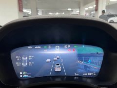 BYD Song Plus New Energy DM-i 112KM Prestige - ფოტო 14