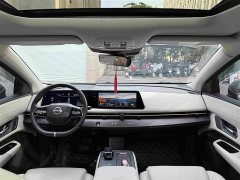 Nio ARIYA 2022 Two-Wheel Drive Long Range Top Configuration - ფოტო 13