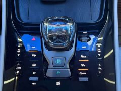 Denza D9 2022 DM-i 970 AWD Flagship - ფოტო 13