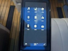 Denza D9 2022 DM-i 970 AWD Flagship - ფოტო 7
