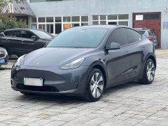 Tesla Model Y Long Range All-Wheel Drive 3D7 - ფოტო 1