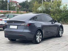 Tesla Model Y Long Range All-Wheel Drive 3D7 - ფოტო 10