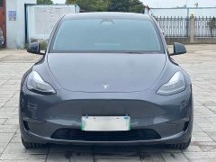 Tesla Model Y Long Range All-Wheel Drive 3D7 - ფოტო 2