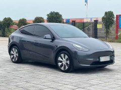 Tesla Model Y Long Range All-Wheel Drive 3D7 - ფოტო 3