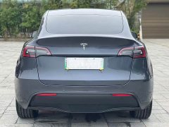 Tesla Model Y Long Range All-Wheel Drive 3D7 - ფოტო 9