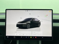 Tesla Model Y Rear-Wheel Drive - ფოტო 13