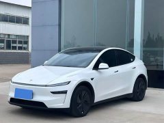 Tesla Model Y Long Range All-Wheel Drive Launch Edition - ფოტო 1